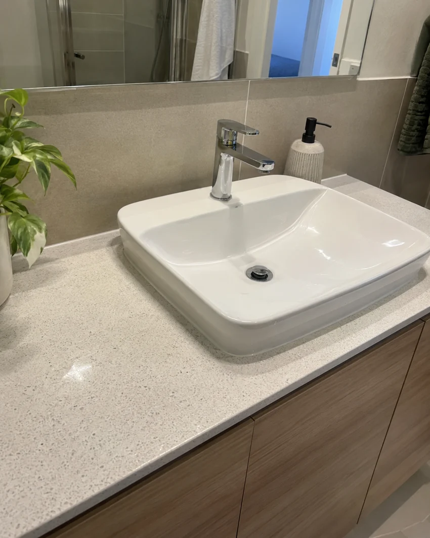 Clean bathroom vanity with a white basin, chrome tap and greenery